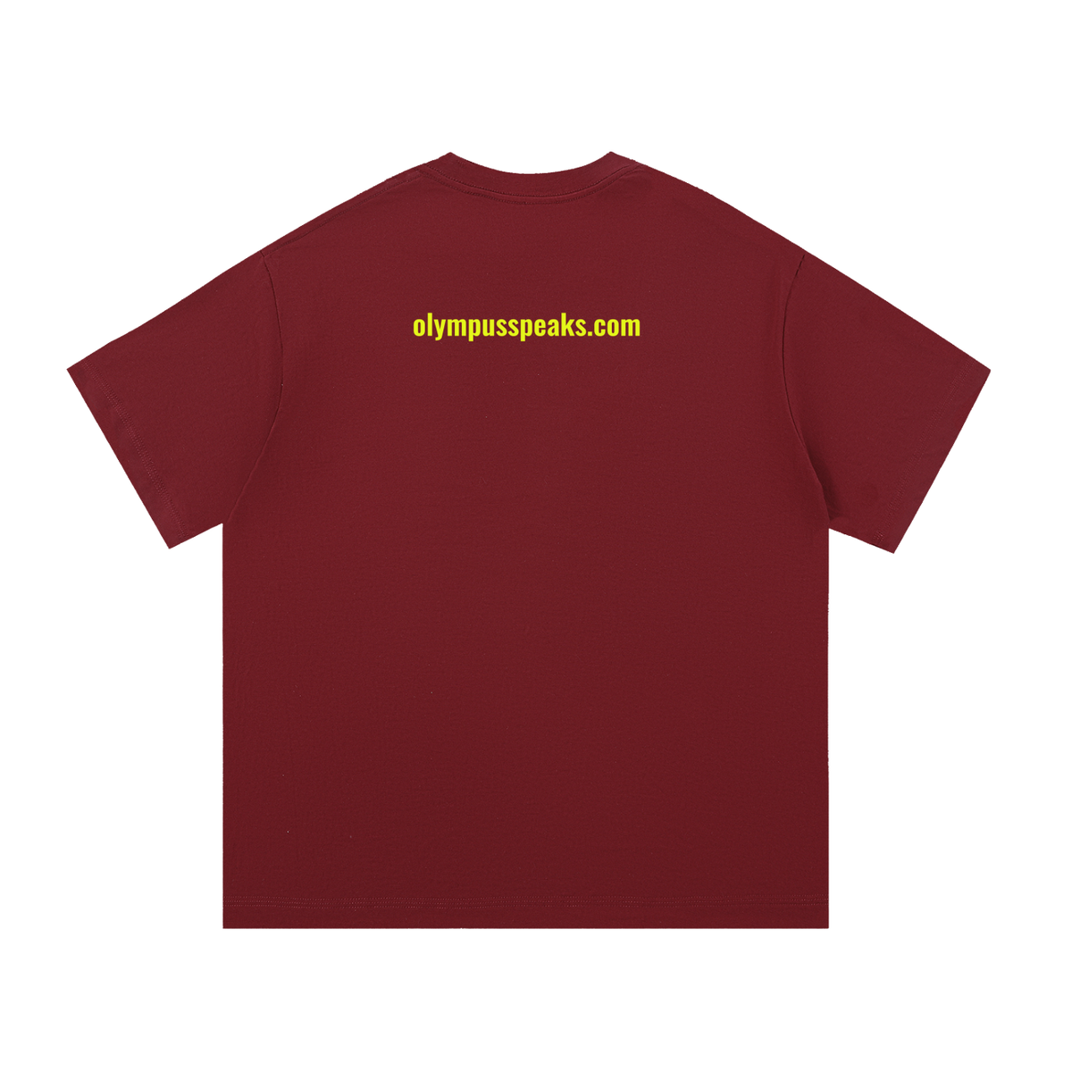 Aristotle Fool - Essential Cotton T-Shirt